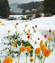 20130303-190112.jpg