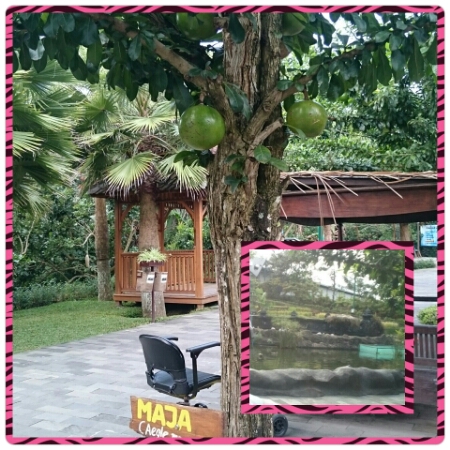 wp-1433057090418 image