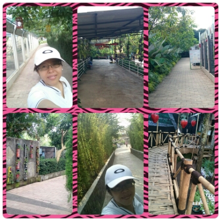 wp-1433057257004 image