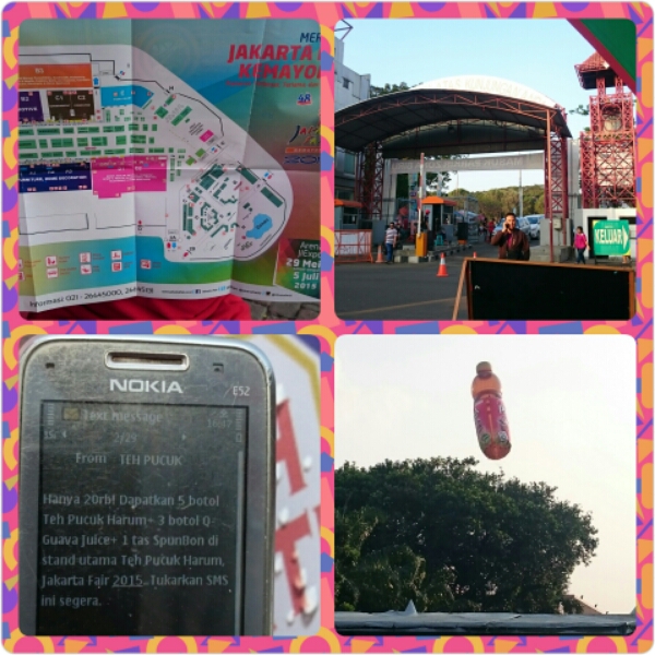 wp-1435445465501 image