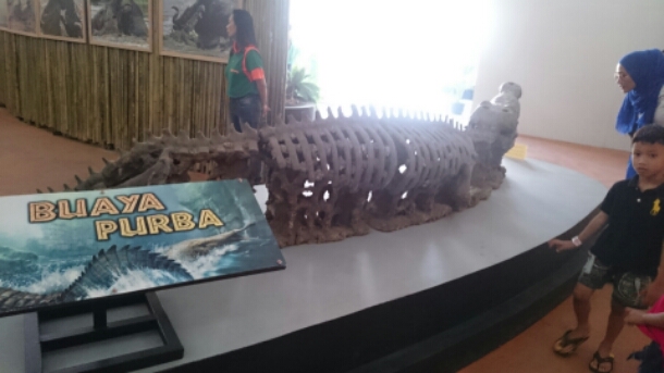 wp-1442849911027 image