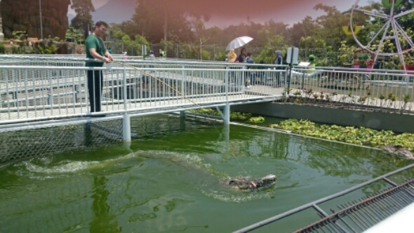 wp-1442850107128 image