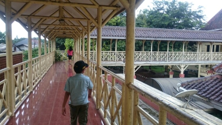 wp-1454367198687 image