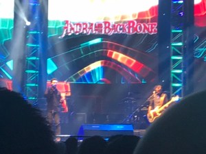 Andra and The Backbone